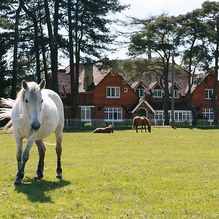 Beaulieu Hotel Lyndhurst Luaran gambar
