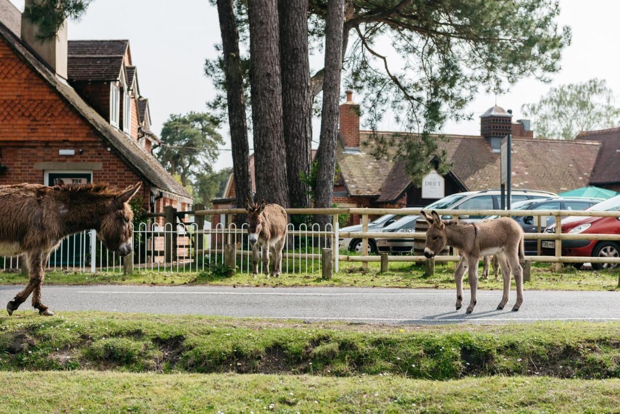 Beaulieu Hotel Lyndhurst Luaran gambar