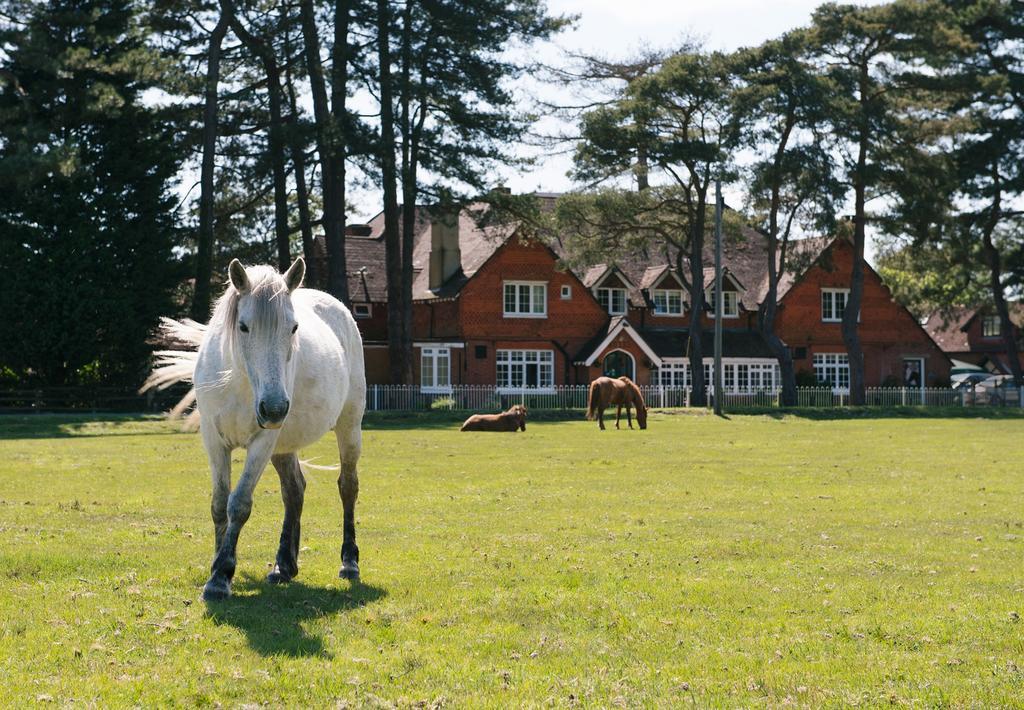 Beaulieu Hotel Lyndhurst Luaran gambar
