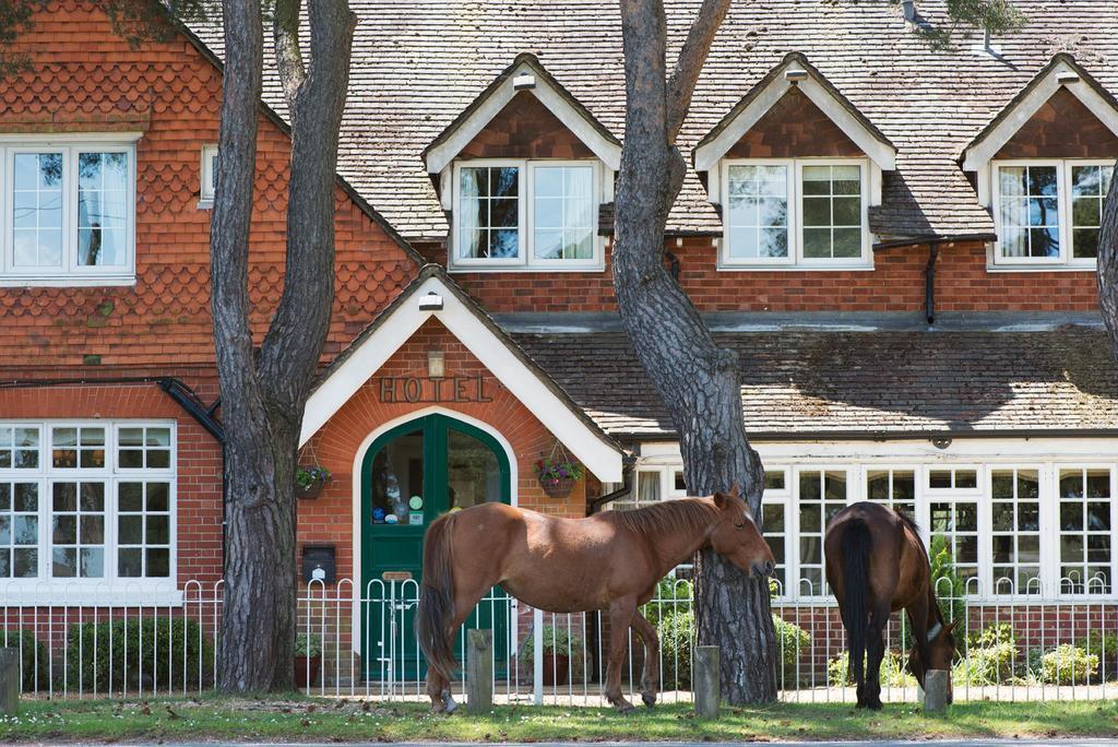 Beaulieu Hotel Lyndhurst Luaran gambar